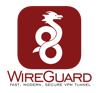 wireguard 100x93